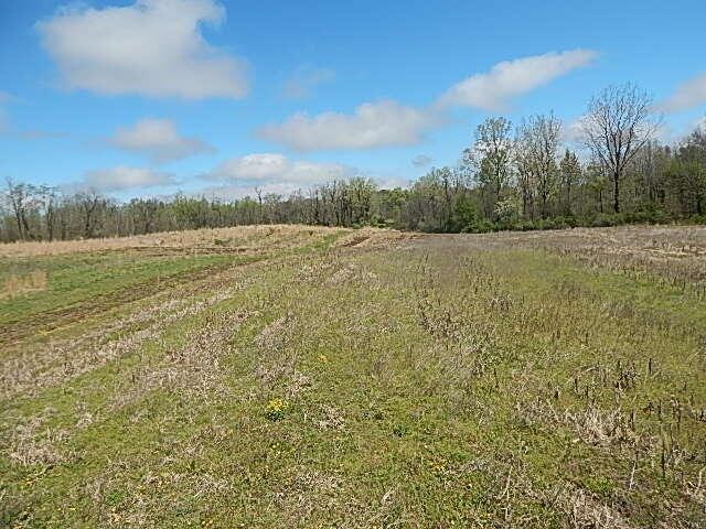7200 Combs Rd, Jerome, MI 49249 - photo 36