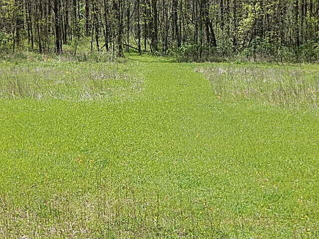 7200 Combs Rd, Jerome, MI 49249 - photo 37
