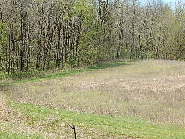 7200 Combs Rd, Jerome, MI 49249 - photo 38