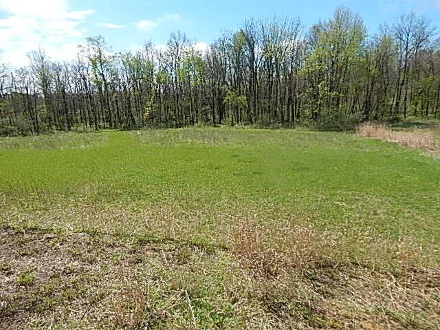 7200 Combs Rd, Jerome, MI 49249 - photo 39