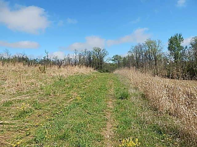 7200 Combs Rd, Jerome, MI 49249 - photo 41