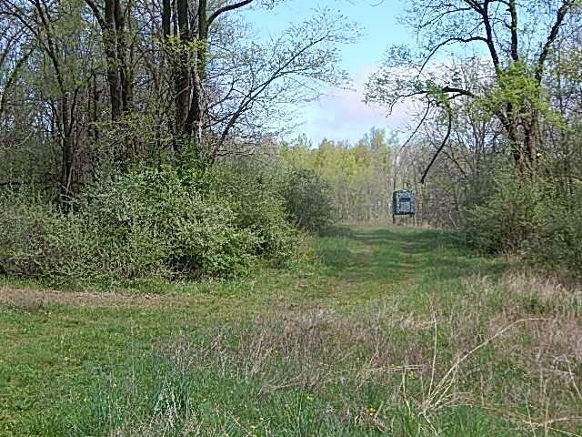 7200 Combs Rd, Jerome, MI 49249 - photo 42