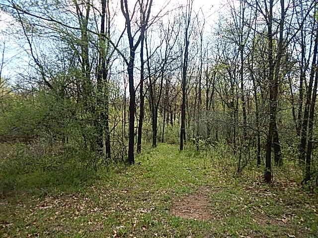 7200 Combs Rd, Jerome, MI 49249 - photo 43