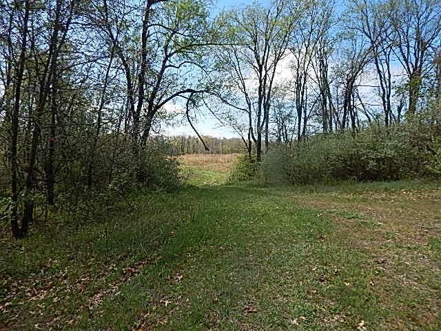 7200 Combs Rd, Jerome, MI 49249 - photo 44