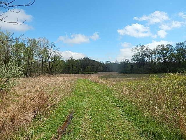 7200 Combs Rd, Jerome, MI 49249 - photo 47