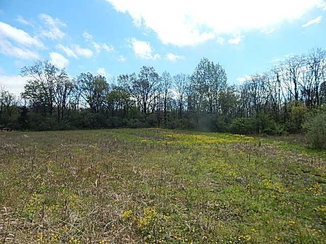 7200 Combs Rd, Jerome, MI 49249 - photo 48