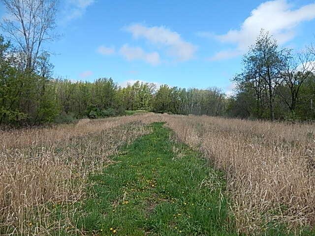 7200 Combs Rd, Jerome, MI 49249 - photo 50