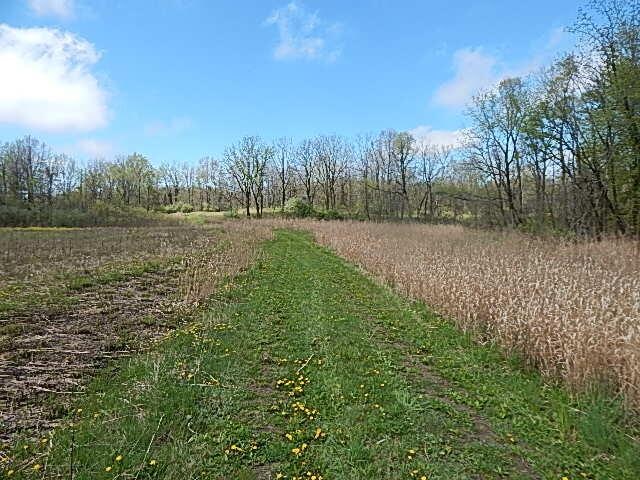 7200 Combs Rd, Jerome, MI 49249 - photo 51