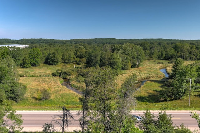 E 34th Rd, Cadillac, MI 49601 - photo 5