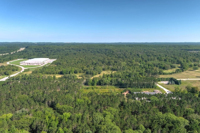 E 34th Rd, Cadillac, MI 49601 - photo 6
