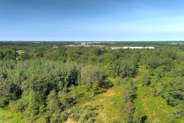 E 34th Rd, Cadillac, MI 49601 - photo 8