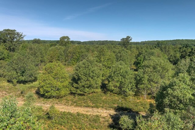 E 34th Rd, Cadillac, MI 49601 - photo 10