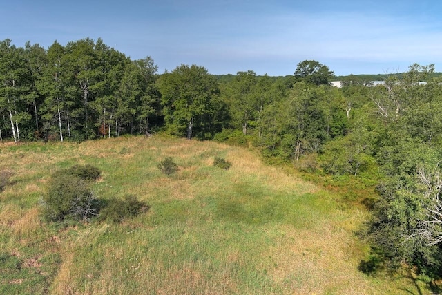 E 34th Rd, Cadillac, MI 49601 - photo 18