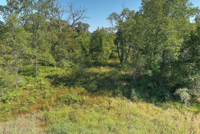 E 34th Rd, Cadillac, MI 49601 - photo 19