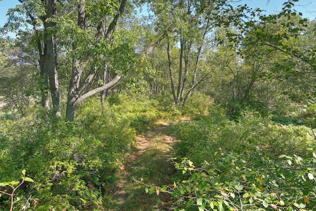 E 34th Rd, Cadillac, MI 49601 - photo 23