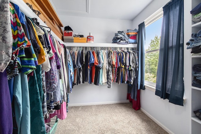 5836 S Ashford Way, Ypsilanti, MI 48197 - spacious closet with carpet flooring