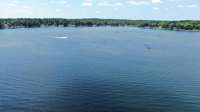 15871 Pretty Lake Dr, Mecosta, MI 49332 - photo 35