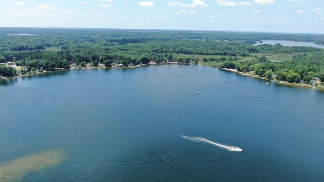 15871 Pretty Lake Dr, Mecosta, MI 49332 - photo 36