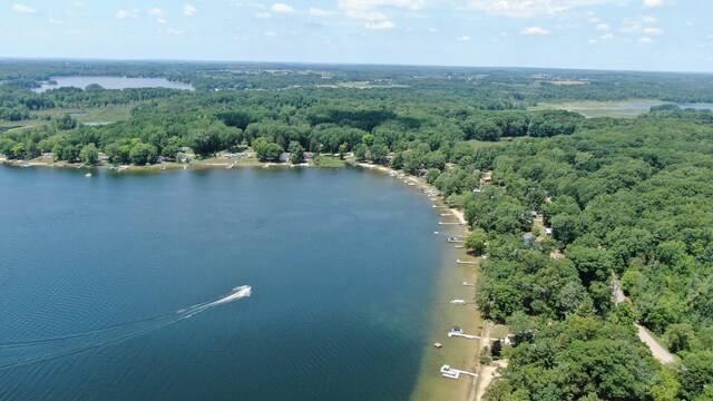 15871 Pretty Lake Dr, Mecosta, MI 49332 - photo 37