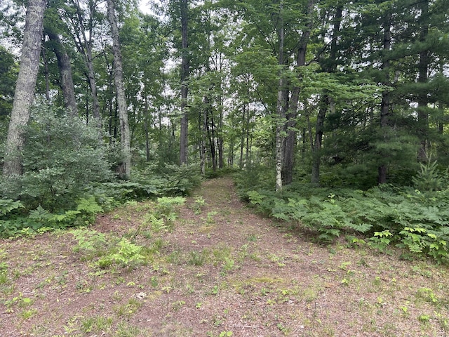 VL Caberfae Highway, Wellston, MI 49689