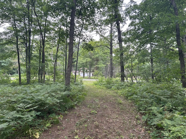 VL Caberfae Highway, Wellston, MI 49689