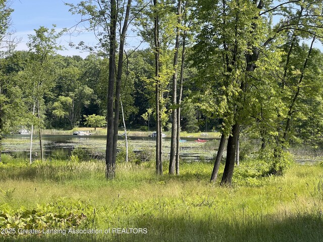 4784-4788 Beech Dr, Lakeview, MI 48850 - photo 4