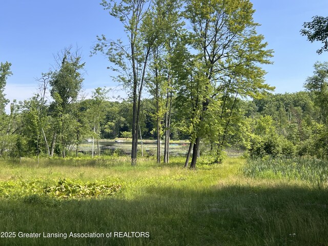 4784-4788 Beech Dr, Lakeview, MI 48850 - photo 5