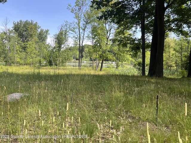 4784-4788 Beech Dr, Lakeview, MI 48850 - photo 6