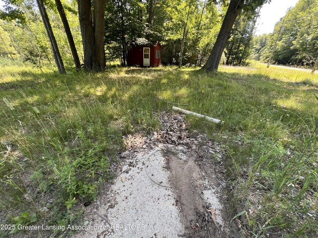 4784-4788 Beech Dr, Lakeview, MI 48850 - photo 9