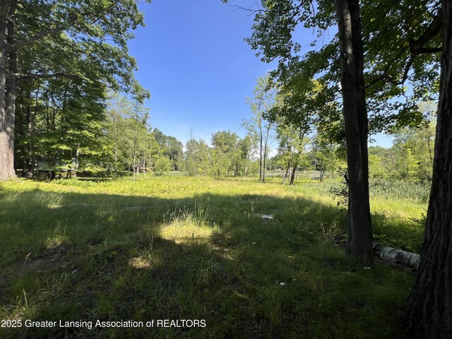 4784-4788 Beech Dr, Lakeview, MI 48850 - photo 11