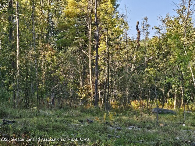 4784-4788 Beech Dr, Lakeview, MI 48850 - photo 13