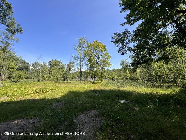 4784-4788 Beech Dr, Lakeview, MI 48850 - photo 20