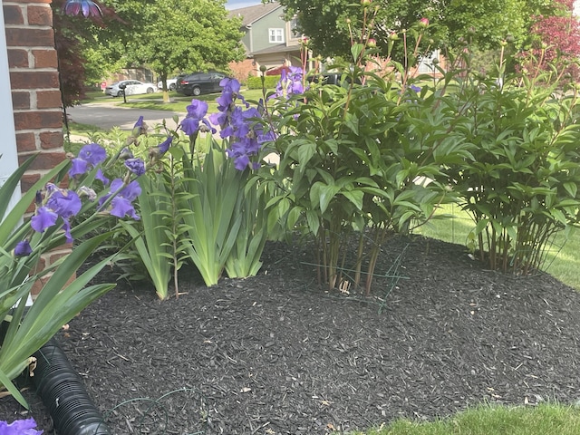 1015 Pointe Place Blvd, Rochester, MI 48307 - photo 39