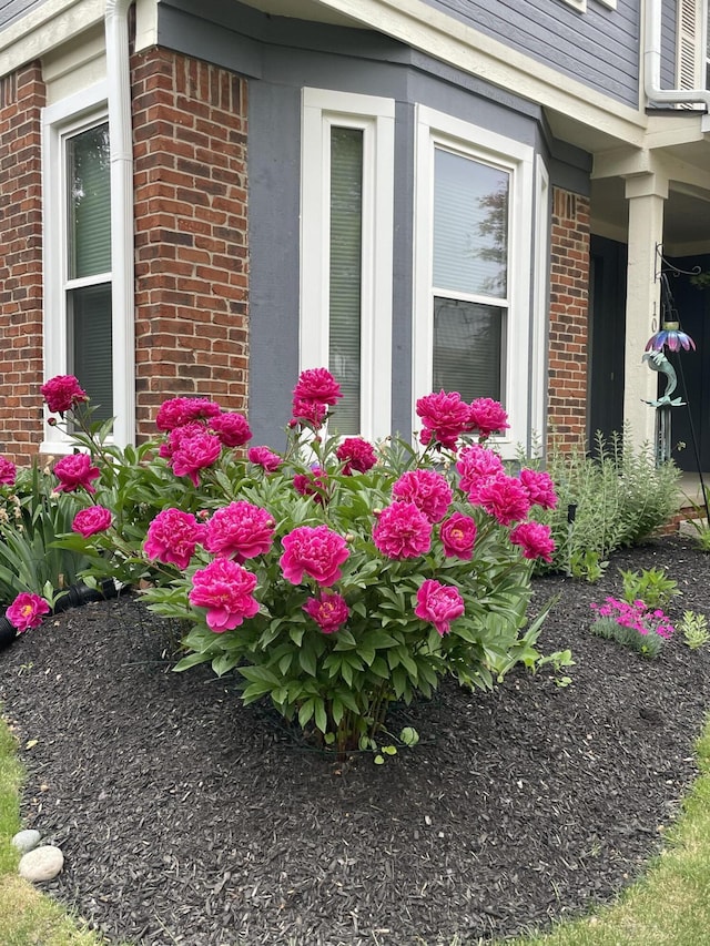 1015 Pointe Place Blvd, Rochester, MI 48307 - photo 41