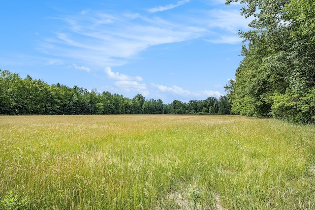 50th St, Bangor, MI 49013 - photo 1