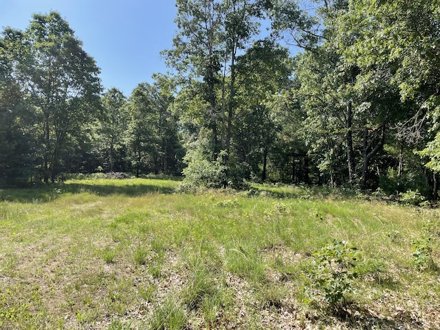 Ewing Rd, Holton, MI 49425