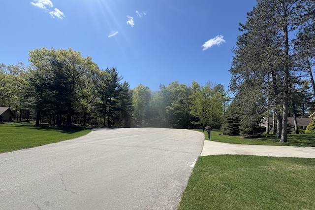 3780 Hiawatha Trl, National City, MI 48748 - photo 68