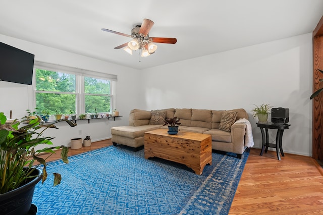 34830 Riverview Dr, Paw Paw, MI 49079 - photo 6