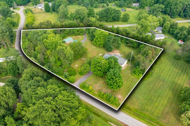 34830 Riverview Dr, Paw Paw, MI 49079 - photo 4