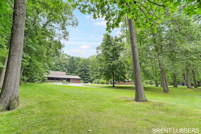 1956 M-40 Hwy, Allegan, MI 49010 - photo 19