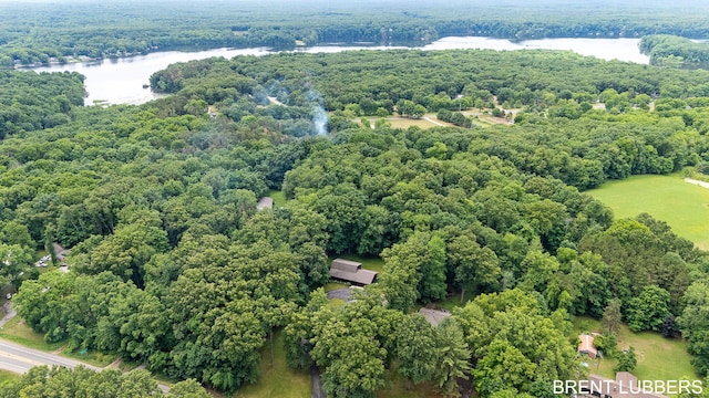 1956 M-40 Hwy, Allegan, MI 49010 - photo 25