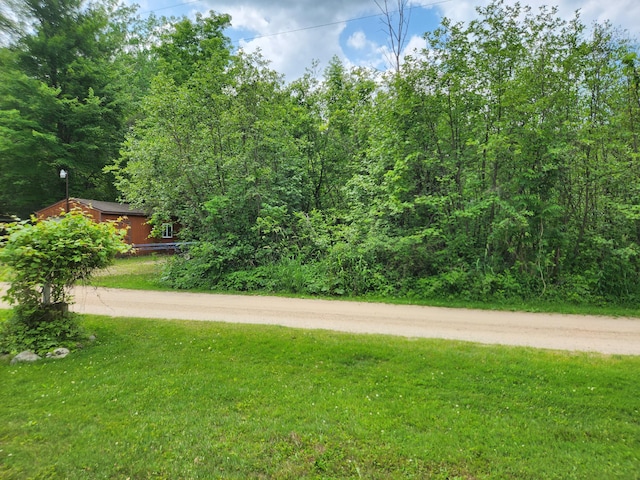 9194 Penasha Dr Lot 45, Reed City, MI 49677 - photo 1