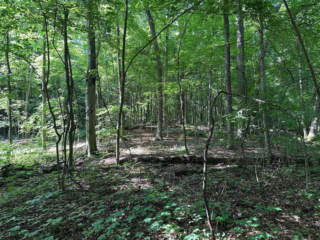 M-60, Cassopolis, MI 49031
