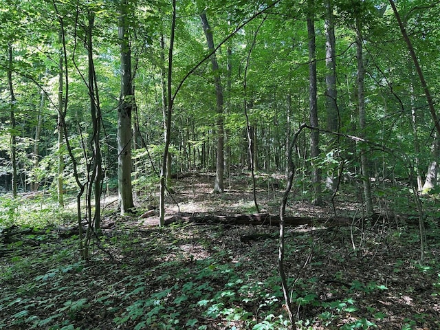 M-60, Cassopolis, MI 49031
