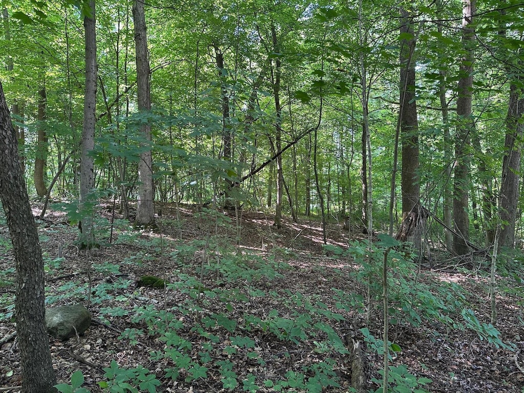 M-60, Cassopolis, MI 49031