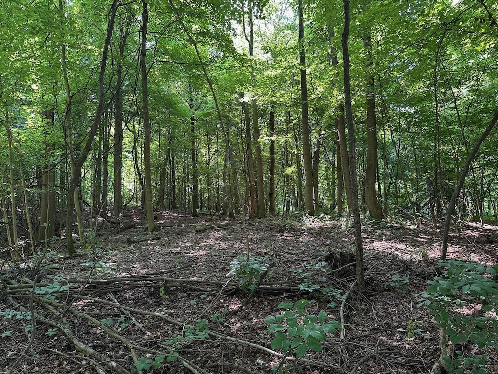 M-60, Cassopolis, MI 49031