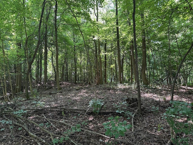 M-60, Cassopolis, MI 49031