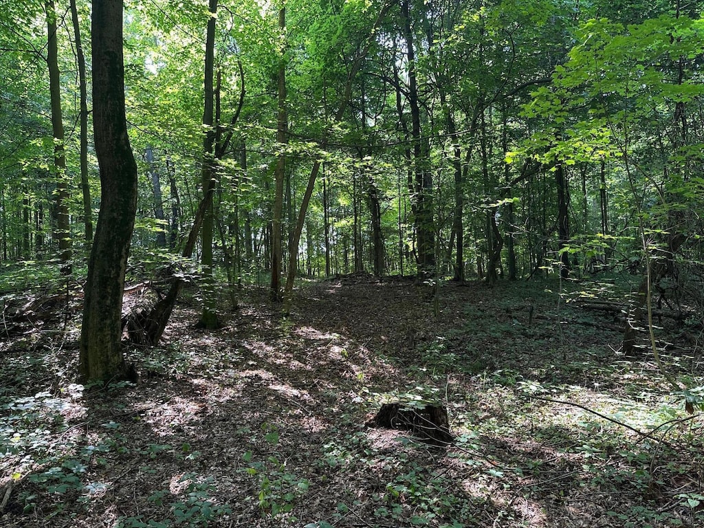 M-60, Cassopolis, MI 49031
