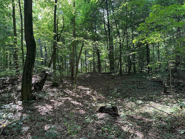 M-60, Cassopolis, MI 49031