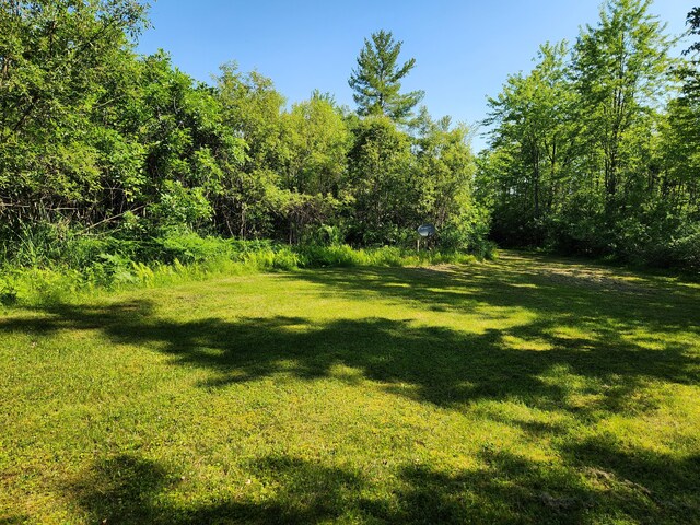 6386 E Peavey St, Walkerville, MI 49459 - photo 26